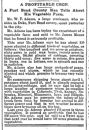 Vegetable farm at Duke, Texas in 1892.
