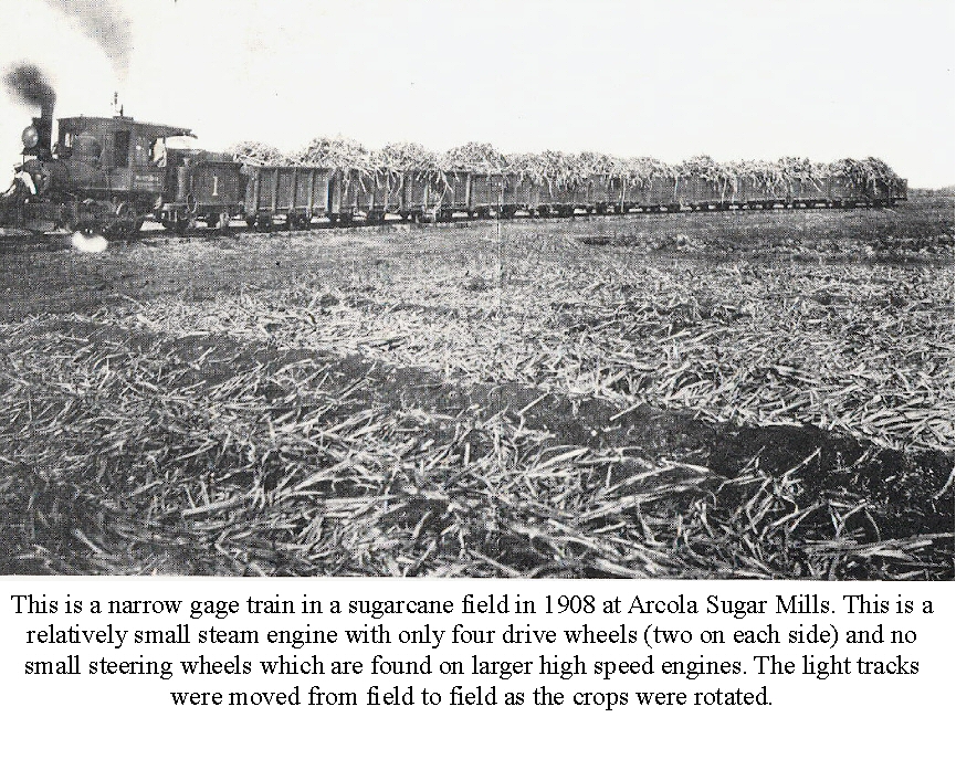 Narrow guage steam 'field' train. Can you see the ''live cattle guard' and the 'engineer'